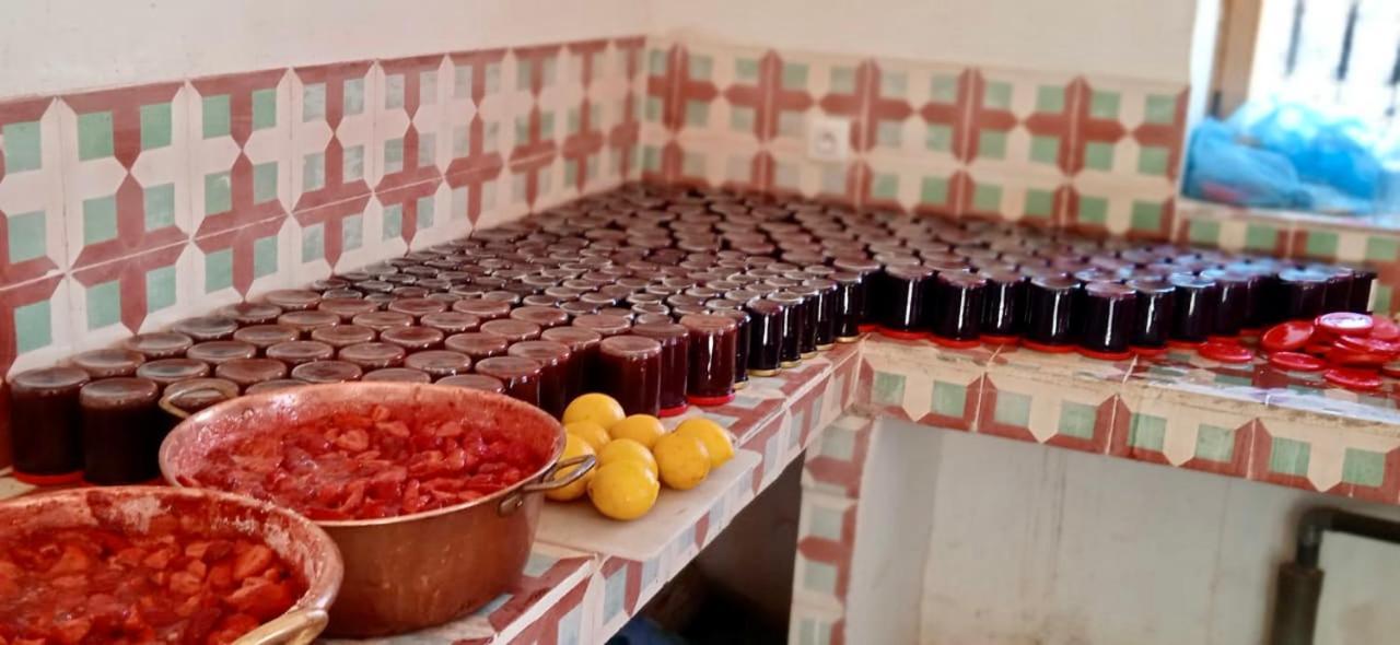 Zawyat Oulmzi Touda Ecolodge Atlas Mountains מראה חיצוני תמונה